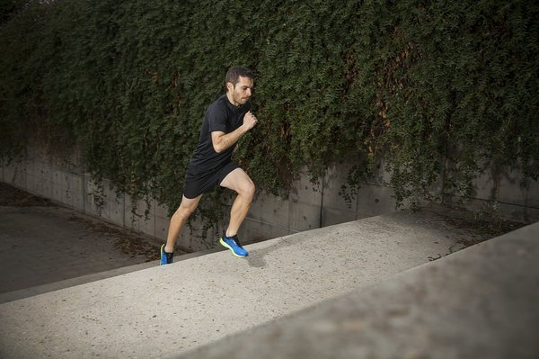 Revitalize your restaurant ambiance: innovative ideas for incorporating indoor plants into your decor